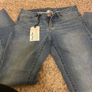 Chip and Pepper Skinny Jeans